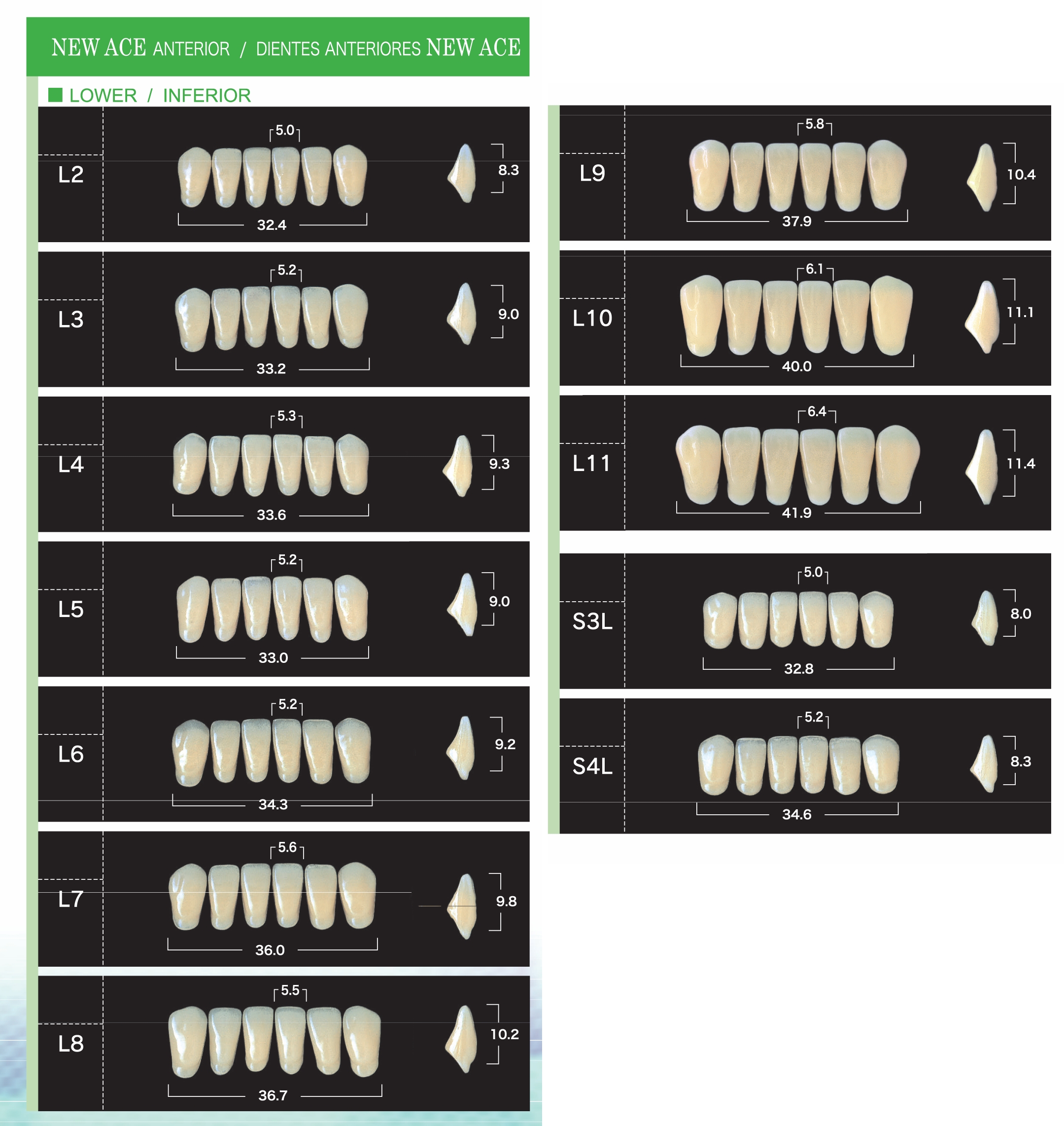 Tooth Mould Chart